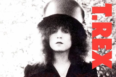 T.Rex   BANDSWALLPAPERS