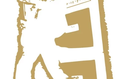 Marc Bolan Trex Electric Warrior Vinyl Wall Art Decal Sticker