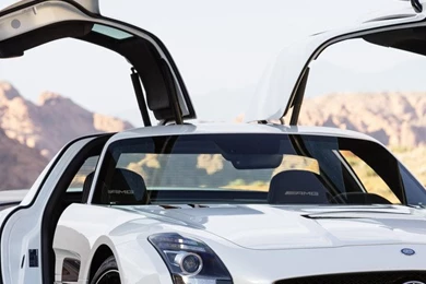 Download Mercedes Benz SLS AMG Coupe Black Series Doors Open ...