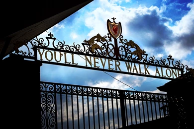 It's So Hard To Photograph Pretty Things…