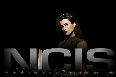 Cote Cote De Pablo Wallpapers (6857200) Fanpop