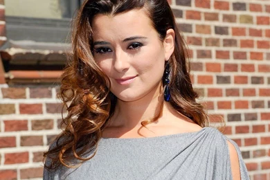 Cote De Pablo Wallpapers   Cote De Pablo Wallpapers (30989918)   Fanpop