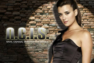 Cote De Pablo   Cote De Pablo Wallpapers (15864102)   Fanpop