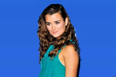 Cote De Pablo HD Images