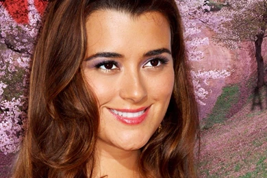Cote De Pablo Wallpapers   Cote De Pablo Wallpapers (30990227)   Fanpop