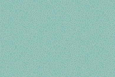 CO2037   Candice Olson Squiggle Wallpapers   Indoorwallpaper.com