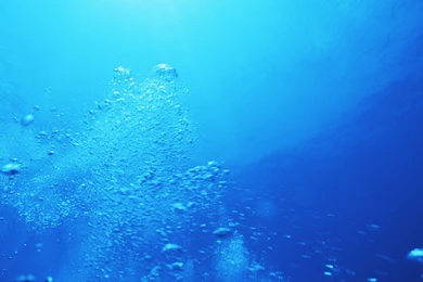 Aqua Marine Wallpapers   Color Wallpapers