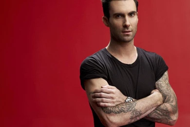 Adam Levine Pictures   Stylish HD Wallpapers
