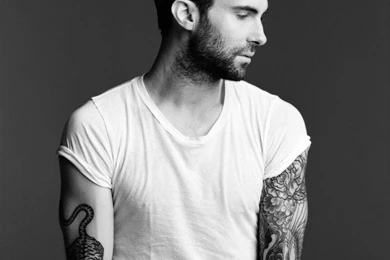 Adam Levine Wallpaper.