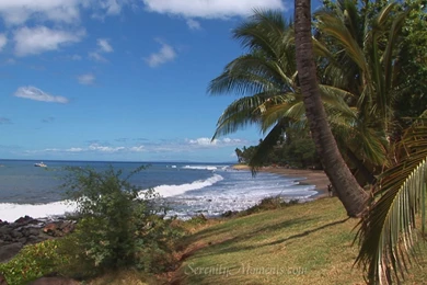 Serenity Moments Screensavers, Free Screensavers, Wallpaper, Tv ...