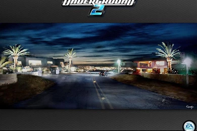 Need For Speed Underground 2   Wallpapers For The Game (wallpapers)