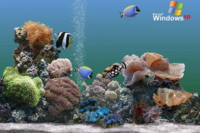 Charming Screensavers Site: Screensaver Wall Paper