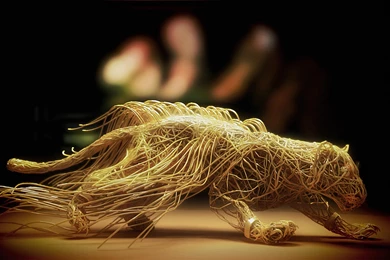 Leopard Wallpapers HD Kjl008 – Wallpaperjosh