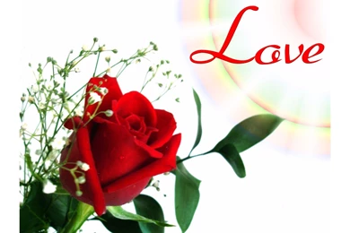 Best 2016 4K Love Wallpapers