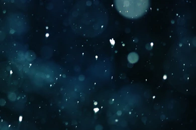 Download Snowflakes Wallpapers 1920x1080