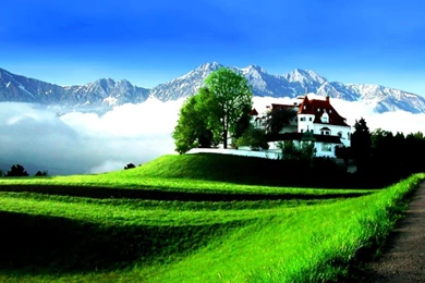 Holiday Backgrounds For Computer Screens