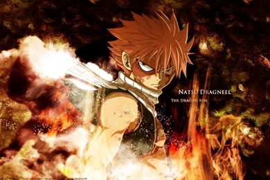 Hitman Reborn Wallpapers