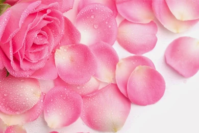 Cute Wallpapers For Desktop Backgrounds Full Screen