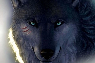 3D Wolf   Android Apps On Google Play
