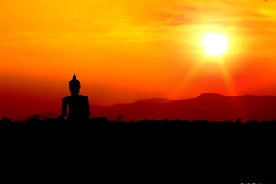 Lord Buddha Wallpapers