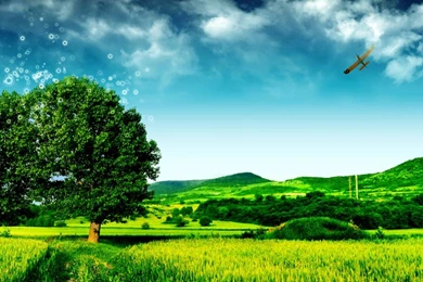 Nature Graphics Normal 1024x768