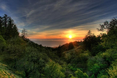 Nature Graphics HD 1920x1080