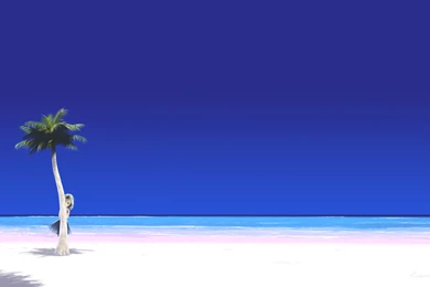 Back, Strikes, Nature, Vladimir, Tomin, Wallpapers, Dizorb (