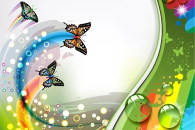 Colorful Flower And Butterfly Backgrounds Vector