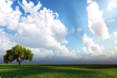 Countryside Nature Wallpapers (5)