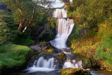 Nature Graphics And Animated Gifs. Nature