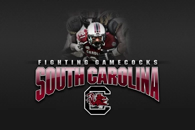 Gamecock Football Wallpapers Wallpapers Zone
