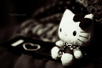 DeviantArt: More Like Kitties Say Hello By AnhPho