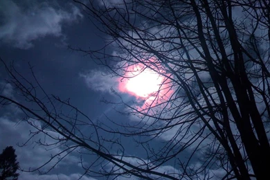 Balloons Blue Up In The Air – Nature Sky HD Desktop Wallpapers