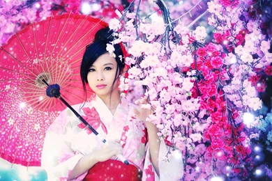 The Japanese Girl With An Umbrella Wallpapers