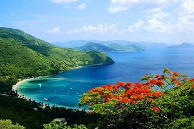 Scene Backgrounds Wallpapers