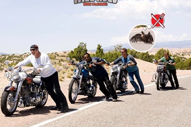 Wildhogs   DeviantArt