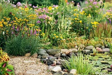 Nature Scenes Desktop Backgrounds