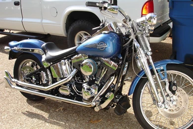 Anybody Watched "WILD HOGS"?   Page 6   Harley Davidson Forums