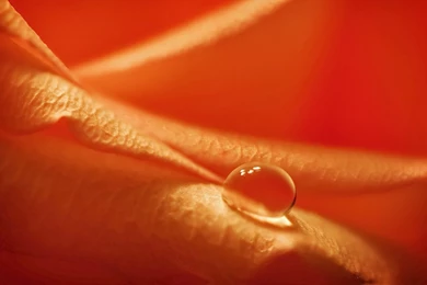 20 Water Drops Wallpapers