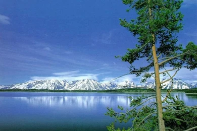 Nature Wallpapers: 09/13/11