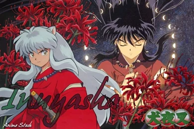 Inuyasha Kagome Priestess Kagome – Anime Inuyasha HD Desktop Wallpapers