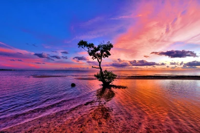Pink Beach Sunset Desktop Wallpapers