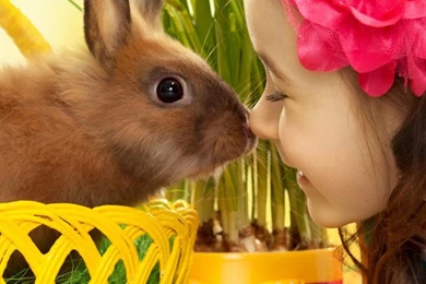 Cute iPhone 6 Wallpapers HD