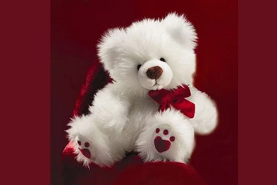 Teddy Bear Cute Wallpapers