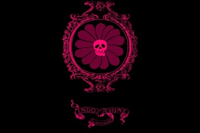 Fonds D'écran Indochine (catégorie Wallpapers Musique)   Hebus.com