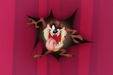 Wallpapers Victorious De Taz El Demonio Tazmania 1024x768