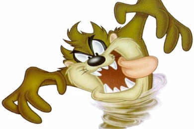 Download Free HD Wallpapers : Wallpapers Tazmania   Download Free ...