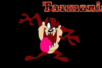 Tazmania Wallpapers   (