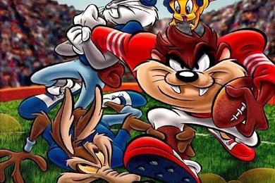 Kumpulan Gambar Wallpapers Tazmania Terlengkap