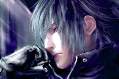 Wallpapers Final Fantasy Xiii Versus The Free 1024x768